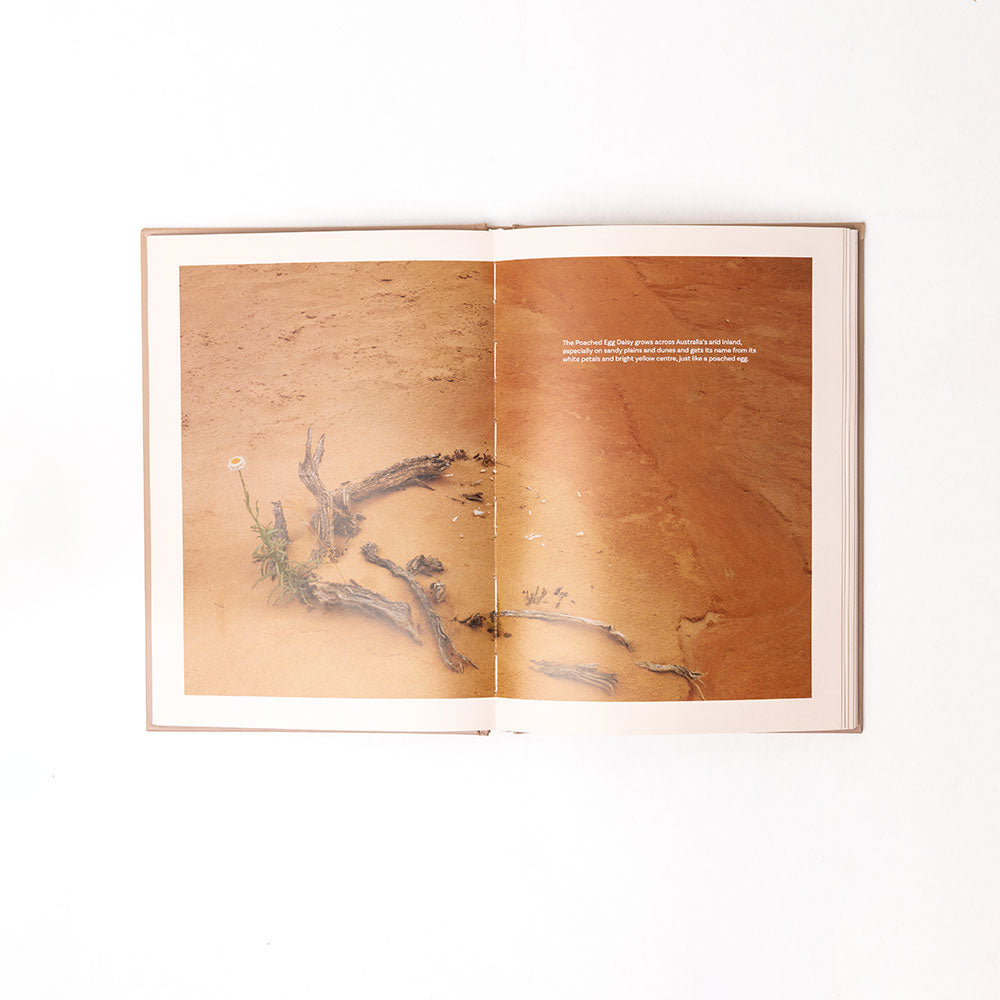 The Beudi Cocktail Book