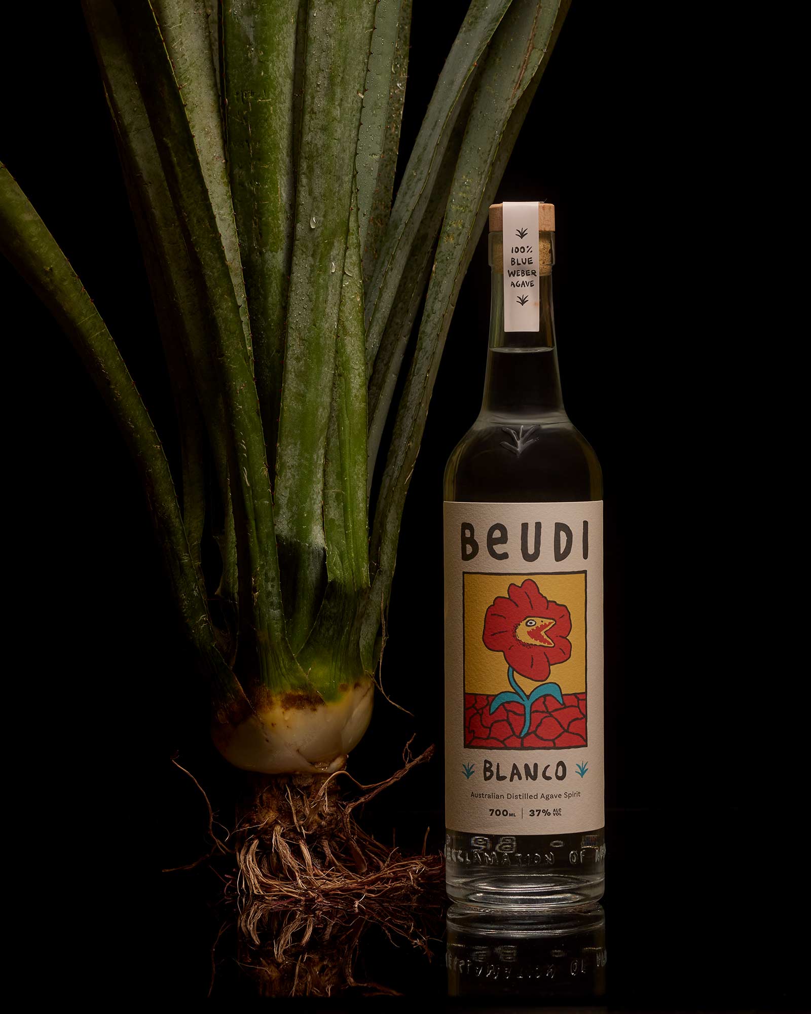 What The Hell is Australian Distilled Agave?