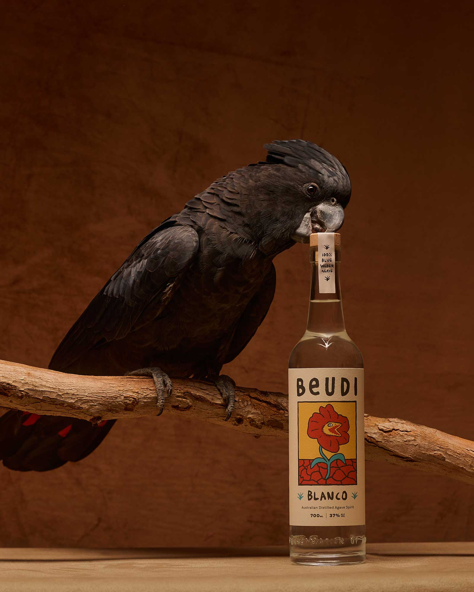 Beudi Blanco